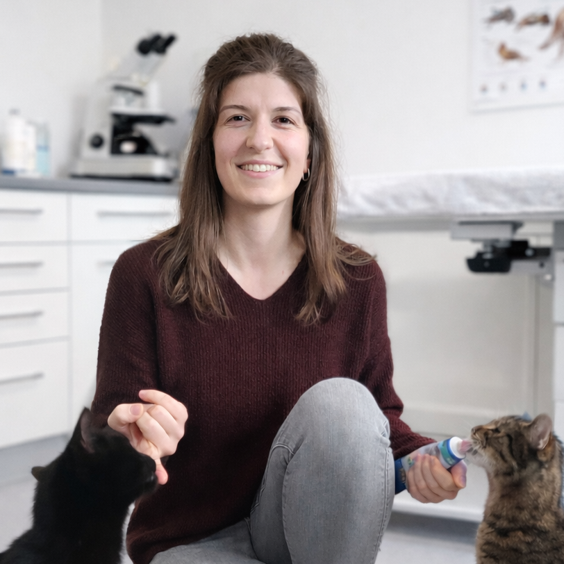 Foto der Tiermedizinischen Fachangestellten Lisa Roth mit zwei Katzen